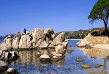 开云体育APP下载-澳大利亚网球队鏖战西班牙网球队,西西帕斯统治全场——网球盛宴背后的热血青春